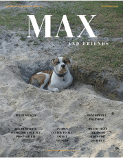 Providence Publishers &amp; Media INC. (1)